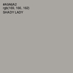 #A9A6A2 - Shady Lady Color Image